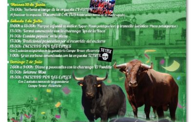 FIESTAS DE SAN PEDRO 2023