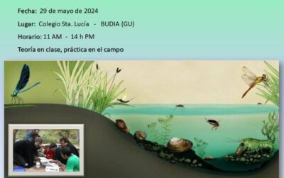 LA CALIDAD DE NUESTRAS AGUAS
