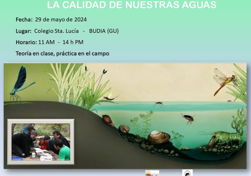 LA CALIDAD DE NUESTRAS AGUAS