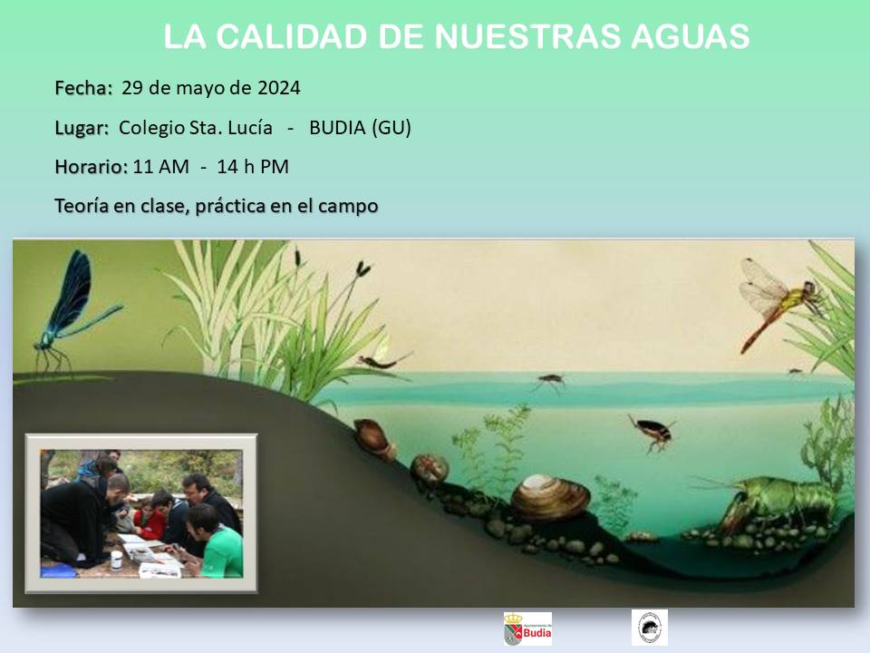 Cartel