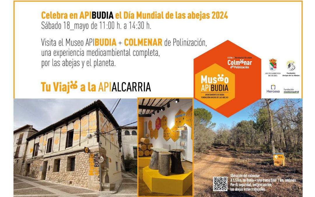 DÍA MUNDIAL DE LAS ABEJAS 2024