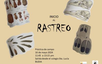 INICIO AL RASTREO