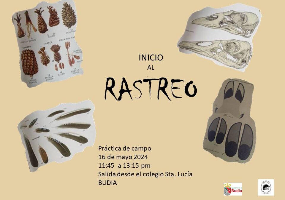 INICIO AL RASTREO