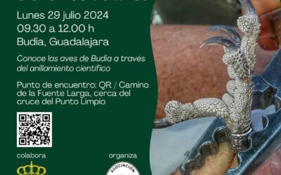 ANILLAMIENTO CIENTÍFICO DE AVES.