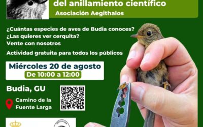 ANILLAMIENTO CIENTÍFICO DE AVES