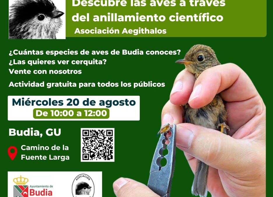 ANILLAMIENTO CIENTÍFICO DE AVES